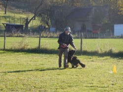 Rally Obedience am 31.10.2015