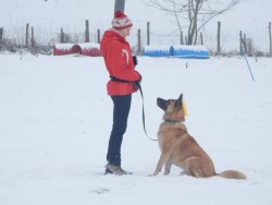 Rally Obedience im Schnee (007)