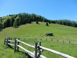 Auf der Blahbergalm