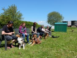 Rally Obedience  [073]