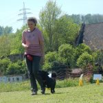 Rally Obedience-Staffel bei perfektem Frühlinswetter