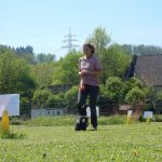 Rally Obedience-Staffel bei perfektem Frühlinswetter