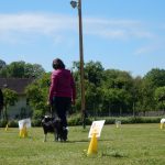 Rally Obedience-Staffel bei perfektem Frühlinswetter