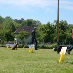 Rally Obedience-Staffel bei perfektem Frühlinswetter