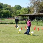 Rally Obedience-Staffel bei perfektem Frühlinswetter