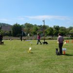 Rally Obedience-Staffel bei perfektem Frühlinswetter