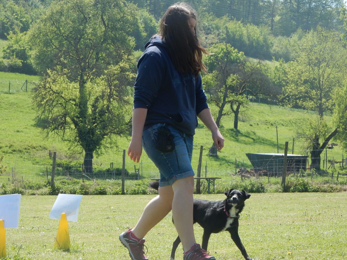 Rally Obedience-Staffel bei perfektem Frühlinswetter