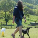 Rally Obedience-Staffel bei perfektem Frühlinswetter