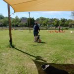 Rally Obedience-Staffel bei perfektem Frühlinswetter
