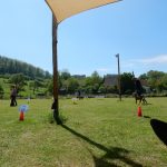 Rally Obedience-Staffel bei perfektem Frühlinswetter