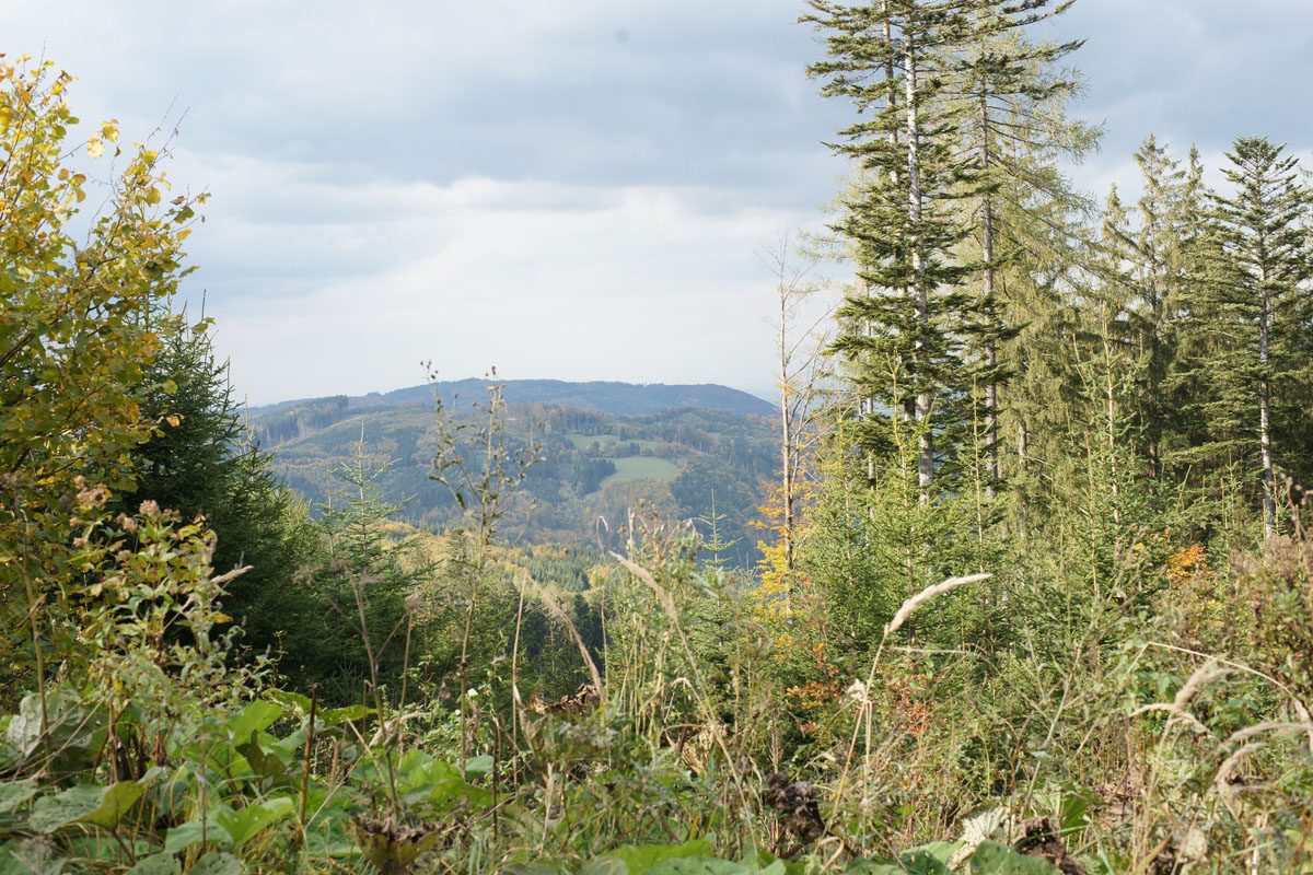 Auf dem Weg zur Spadenbergkapelle