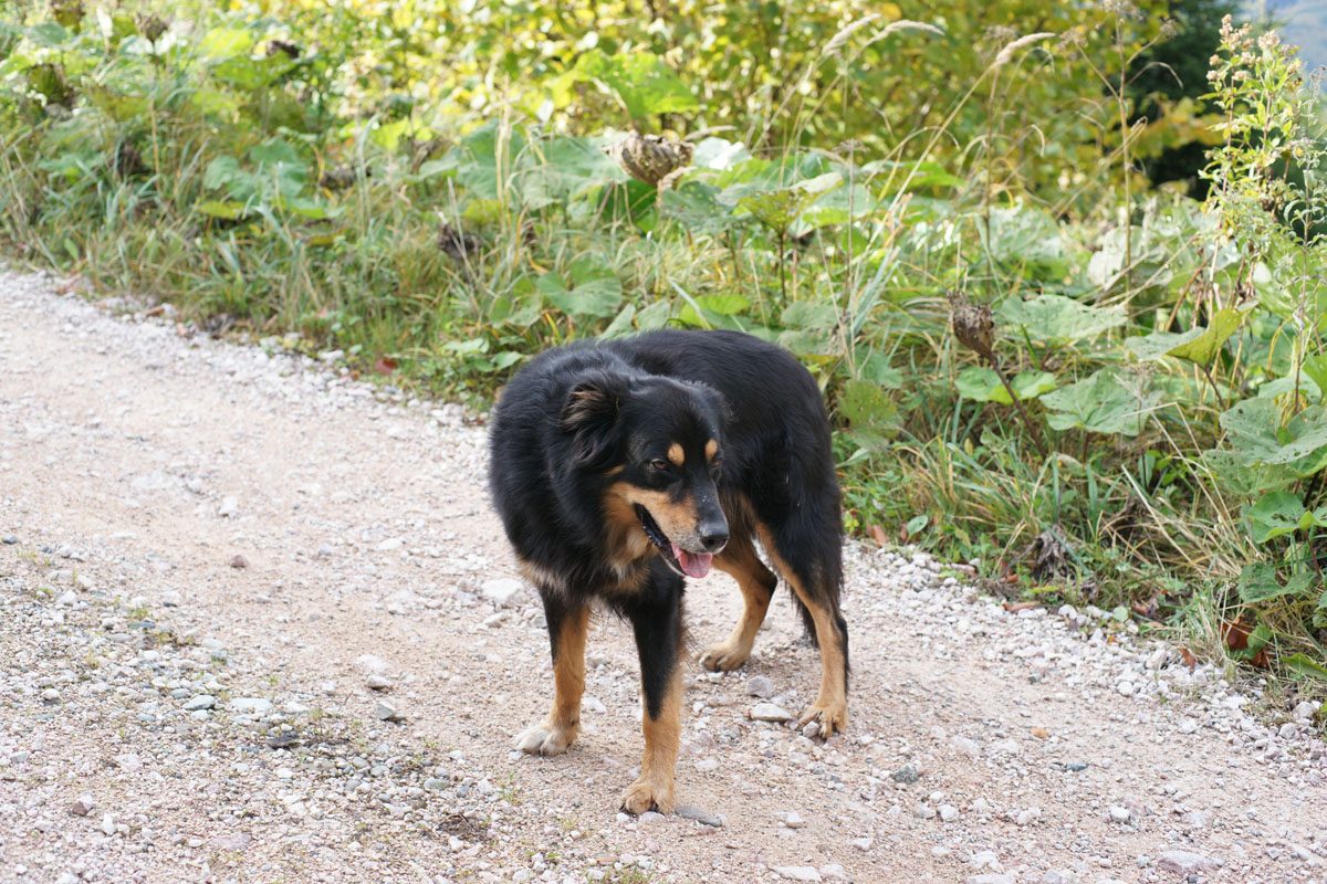 Auf dem Weg zur Spadenbergkapelle