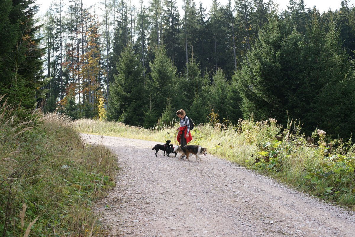 Auf dem Weg zur Spadenbergkapelle