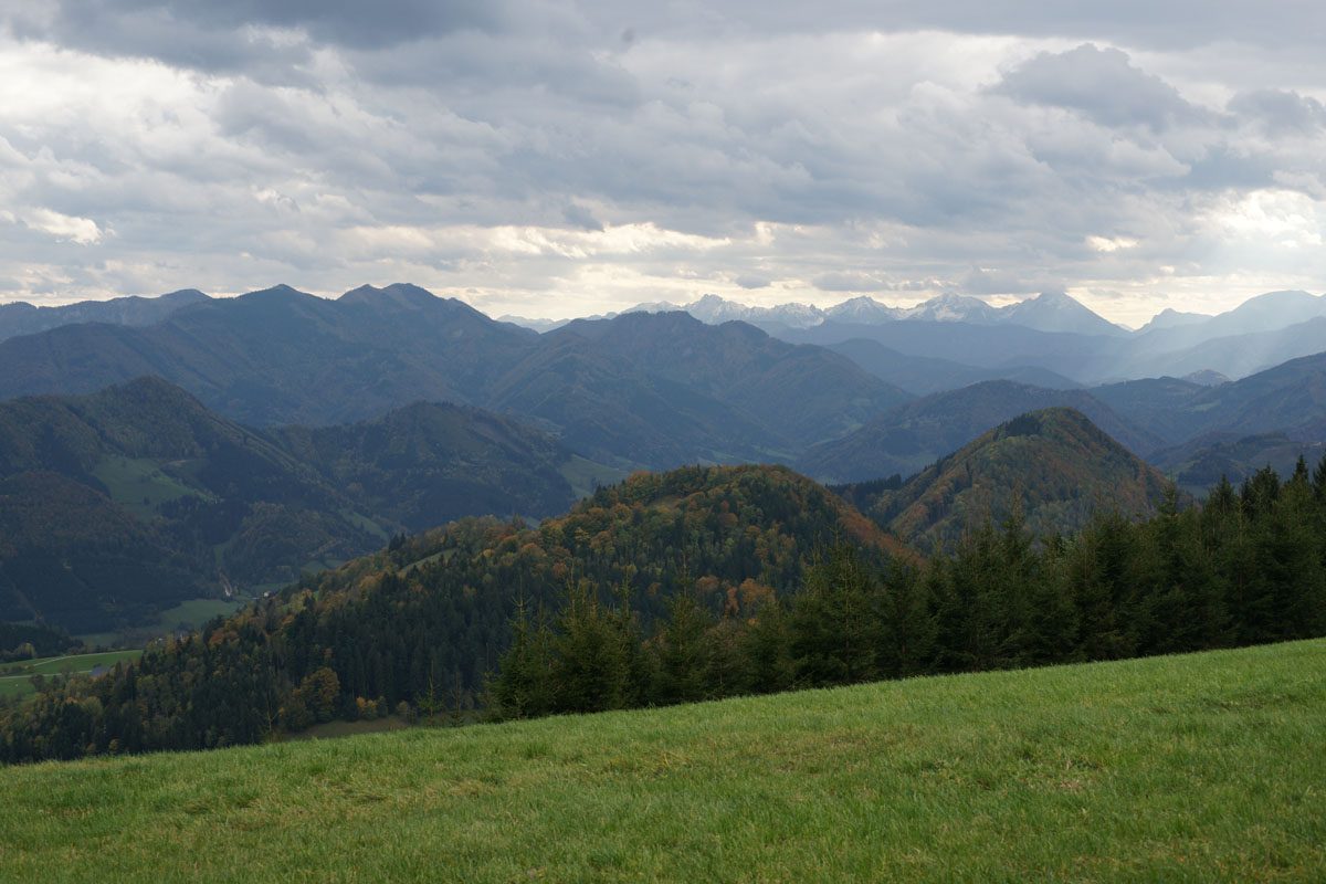 Am Glasenberg