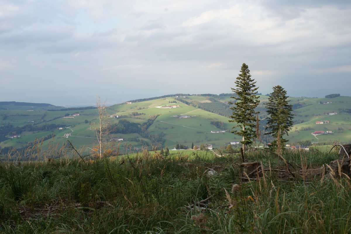 Am Geierkogel