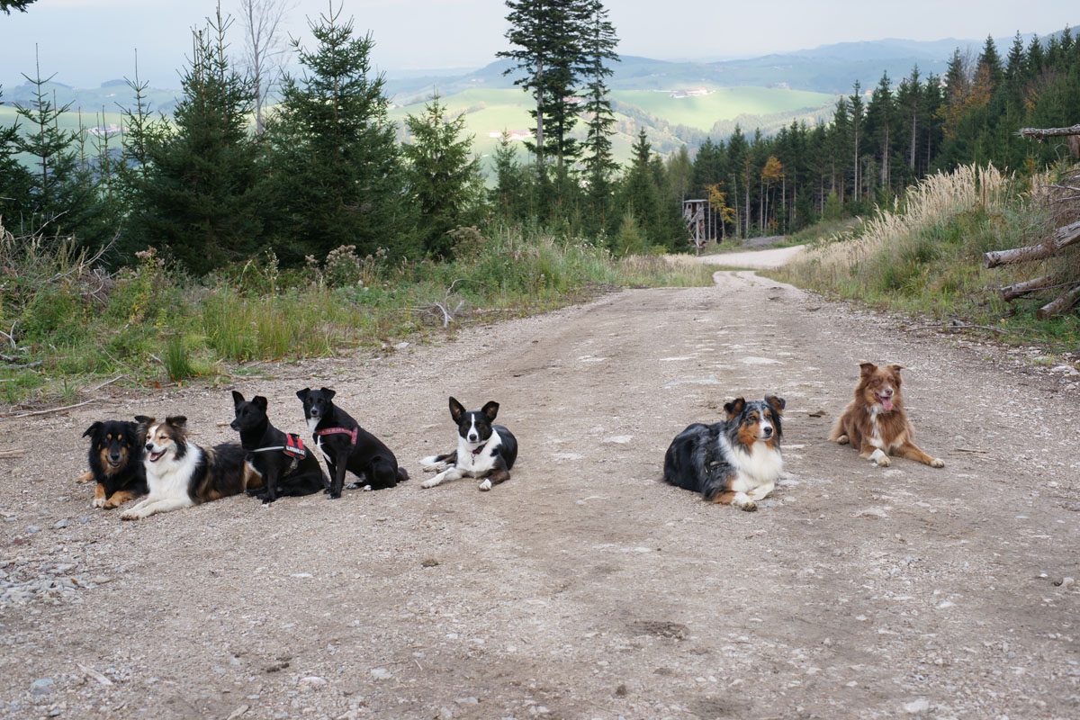 Gruppenfoto