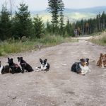 Gruppenfoto