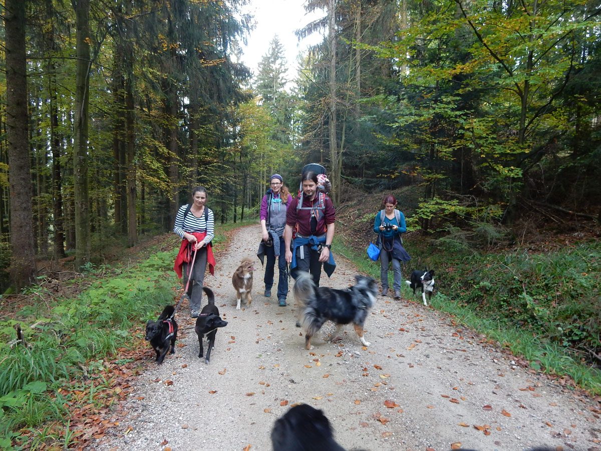 Auf dem Weg zur Spadenbergkapelle