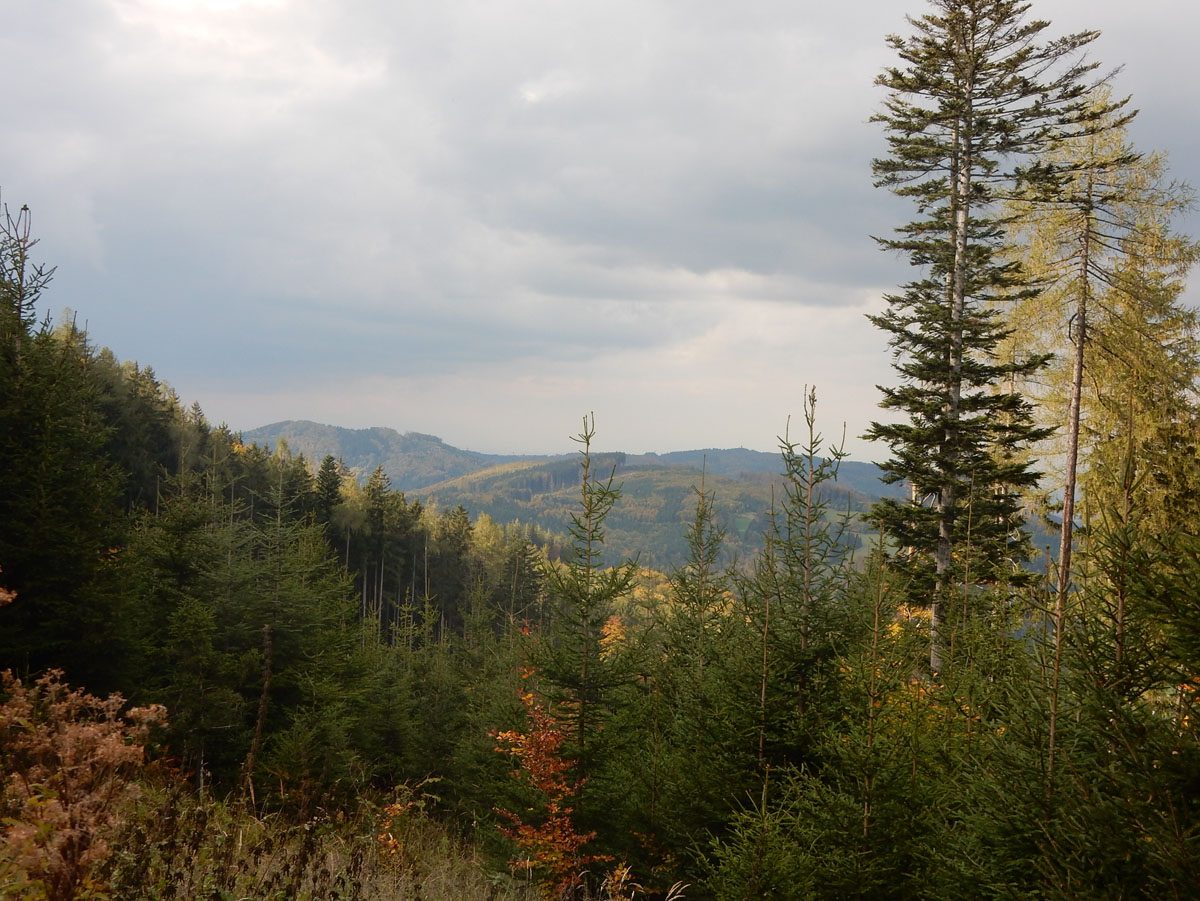 Auf dem Weg zur Spadenbergkapelle