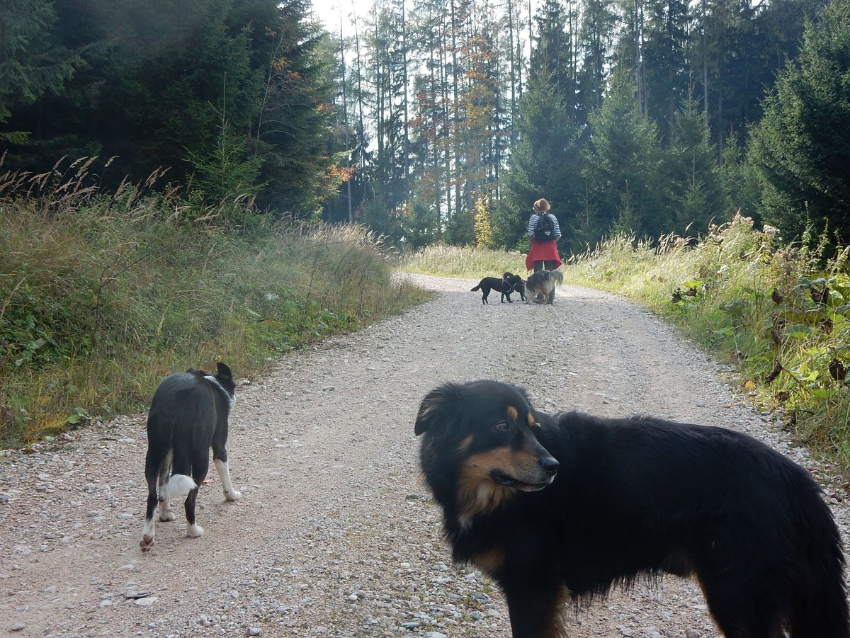 Auf dem Weg zur Spadenbergkapelle