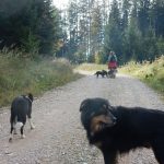 Auf dem Weg zur Spadenbergkapelle