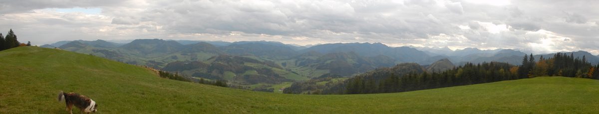Am Glasenberg: Panorama Richtung Süden