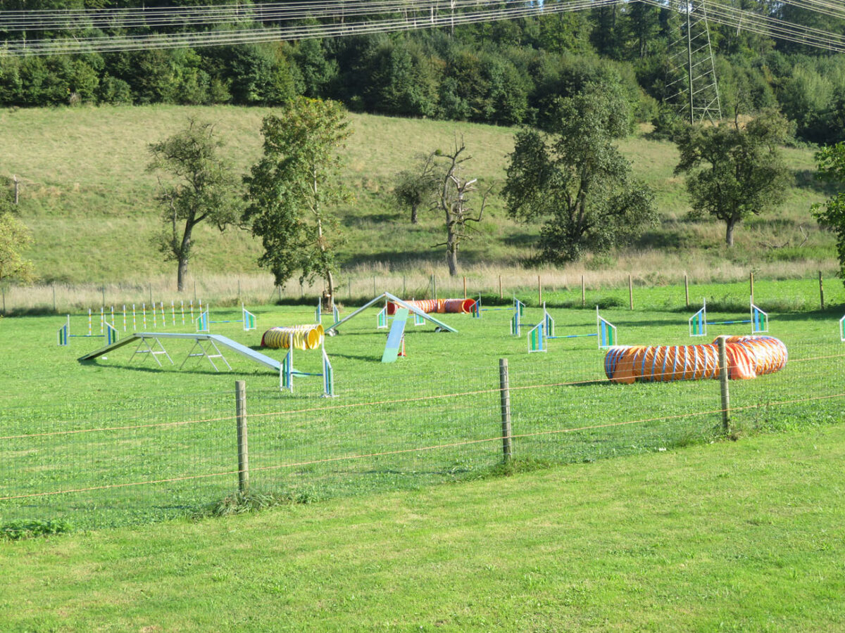Agility in der Hundeschule [bei] Steyr