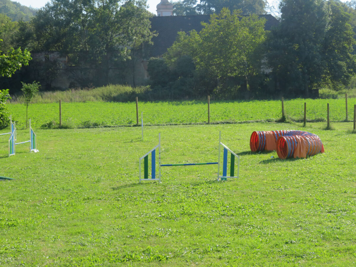 Agility in der Hundeschule [bei] Steyr