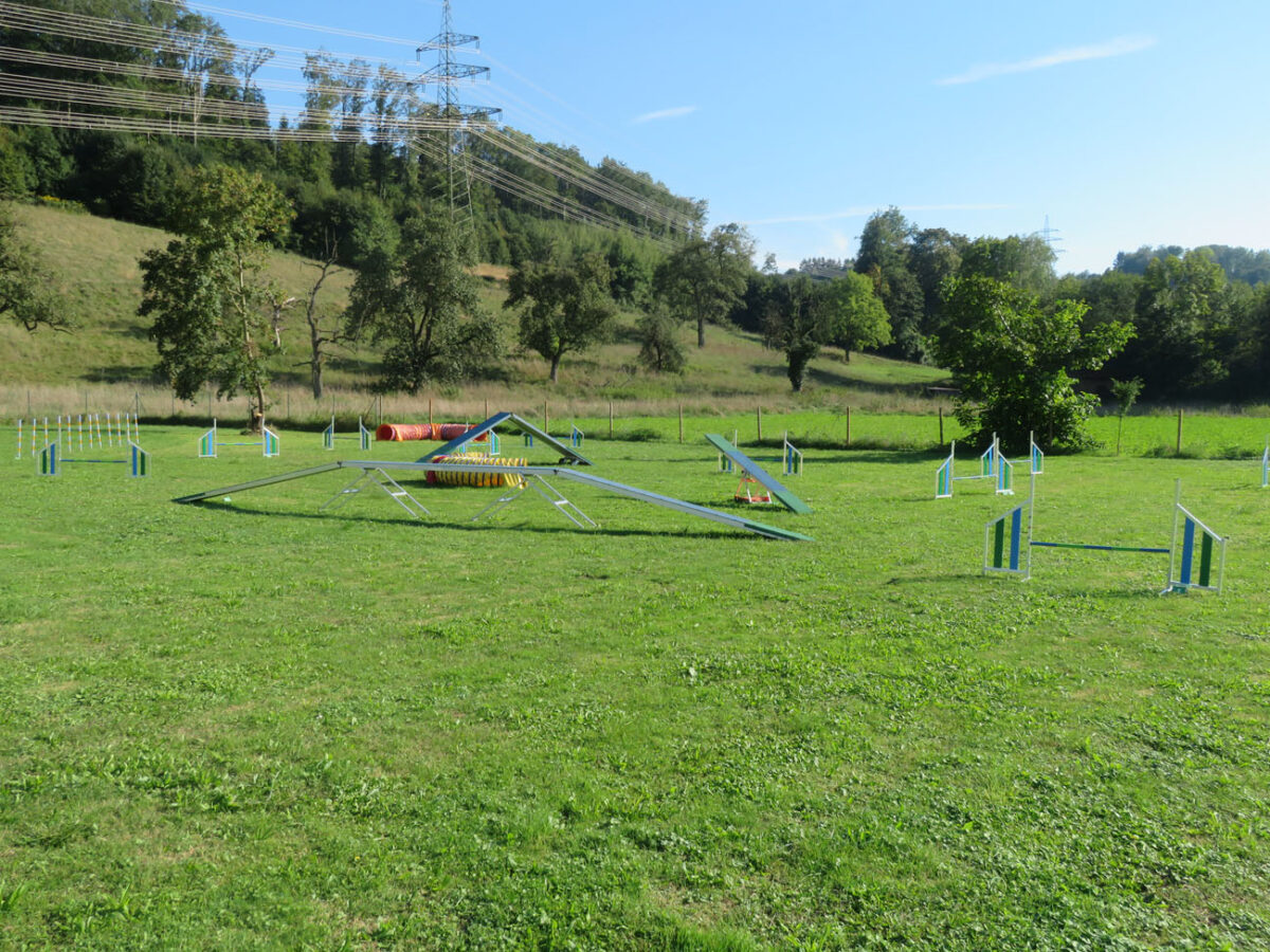 Agility in der Hundeschule [bei] Steyr