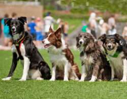 1. Herbstolympiade 2025