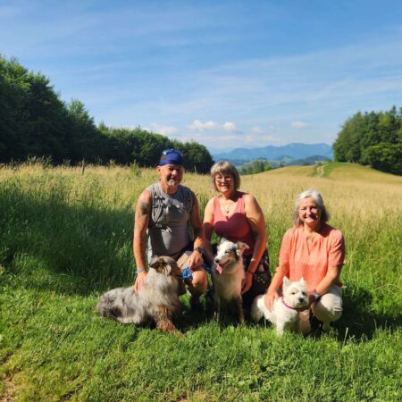 Wanderung Damberg 18.6.2026