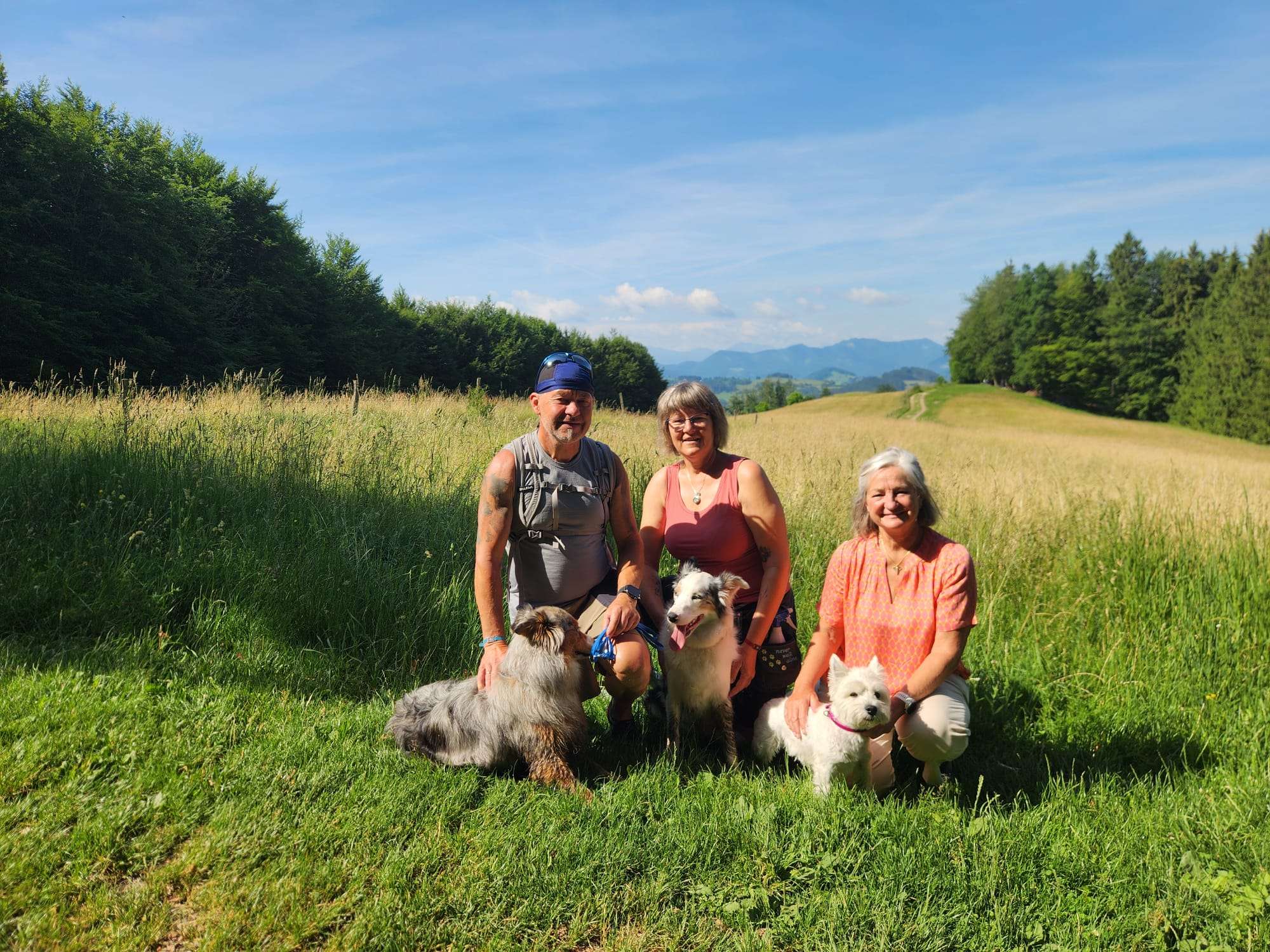 Wanderung Damberg 18.6.2026