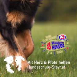 Ö3 Weihnachtswunder