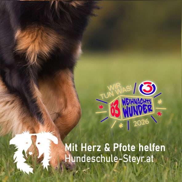 Ö3 Weihnachtswunder