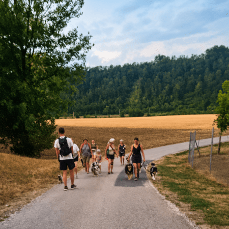 Am 5.8.2026 in Kronstorf